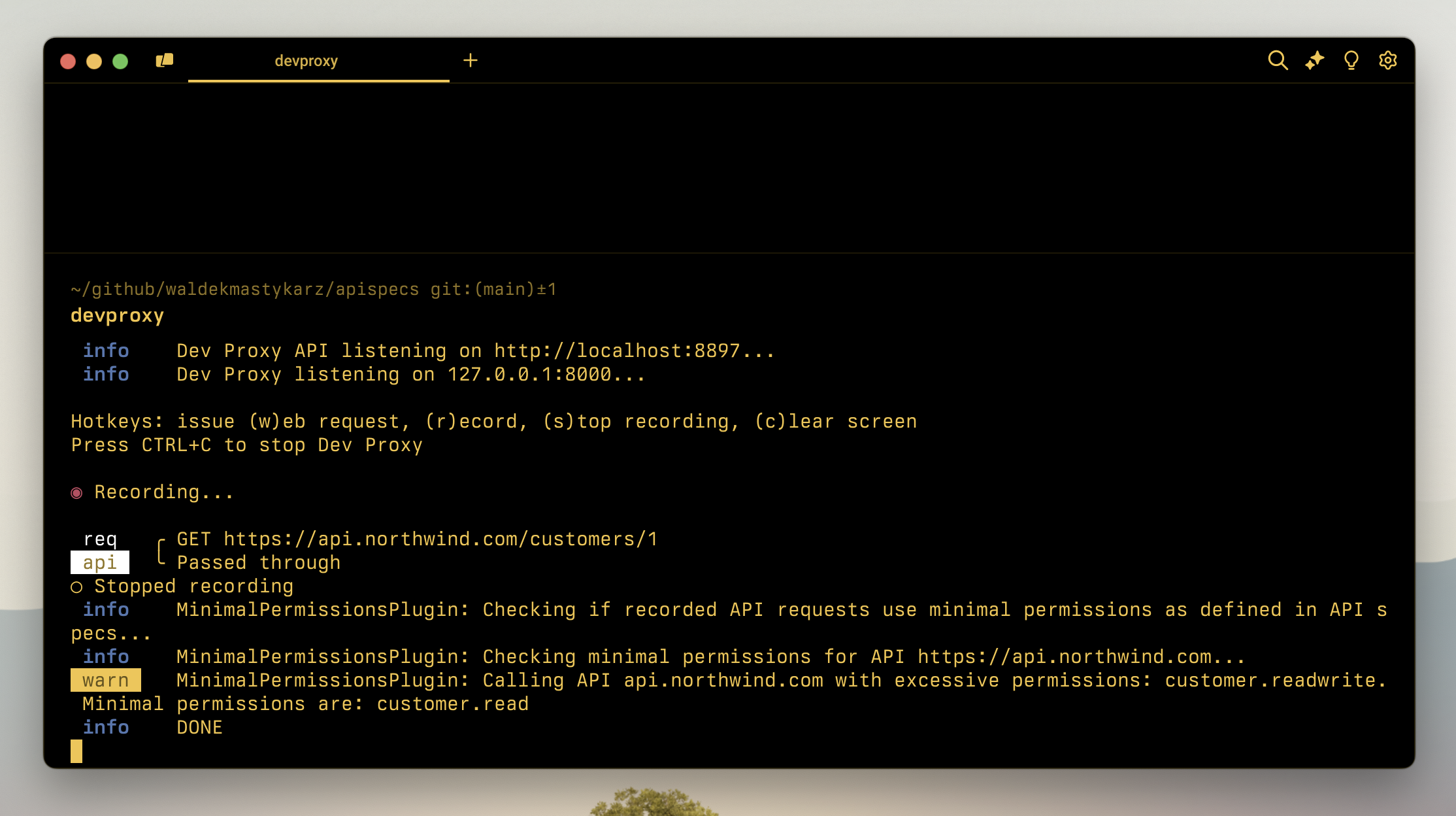 Dev Proxy detecting the use of minimal permissions based on API specs in a local folder
