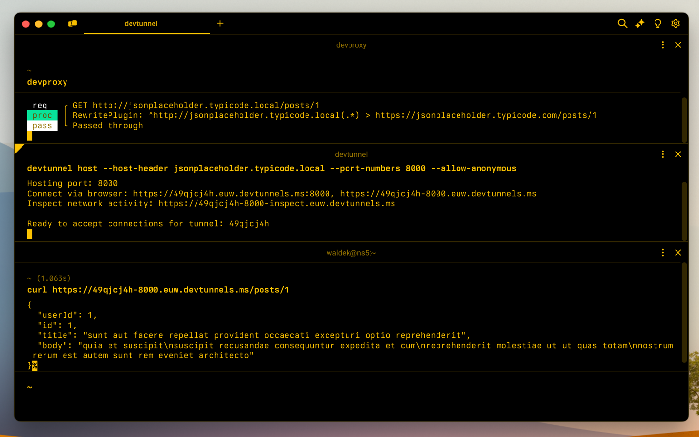 Dev Proxy and dev tunnels handling a cloud API request