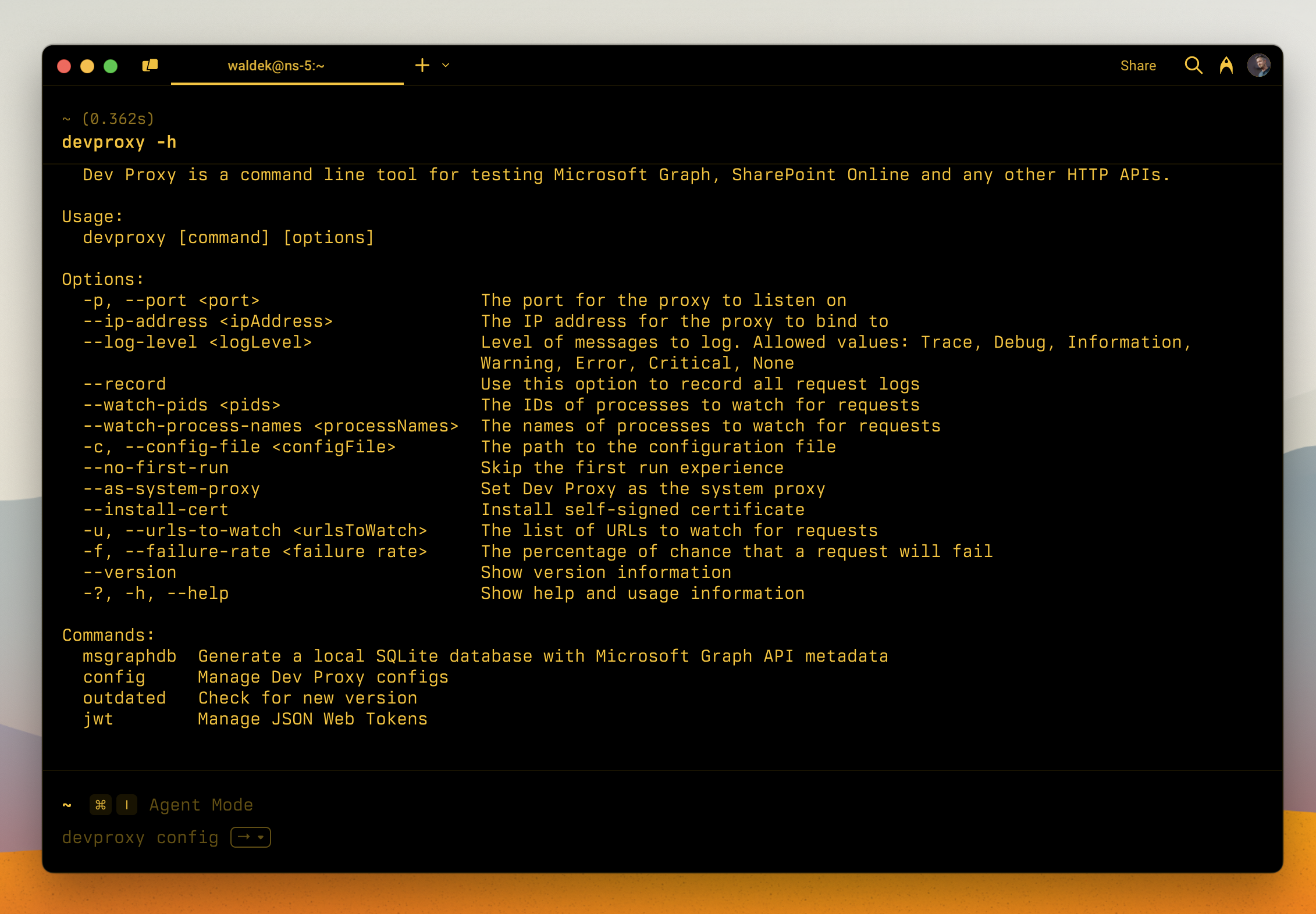 Dev Proxy showing plugins' options in its help information