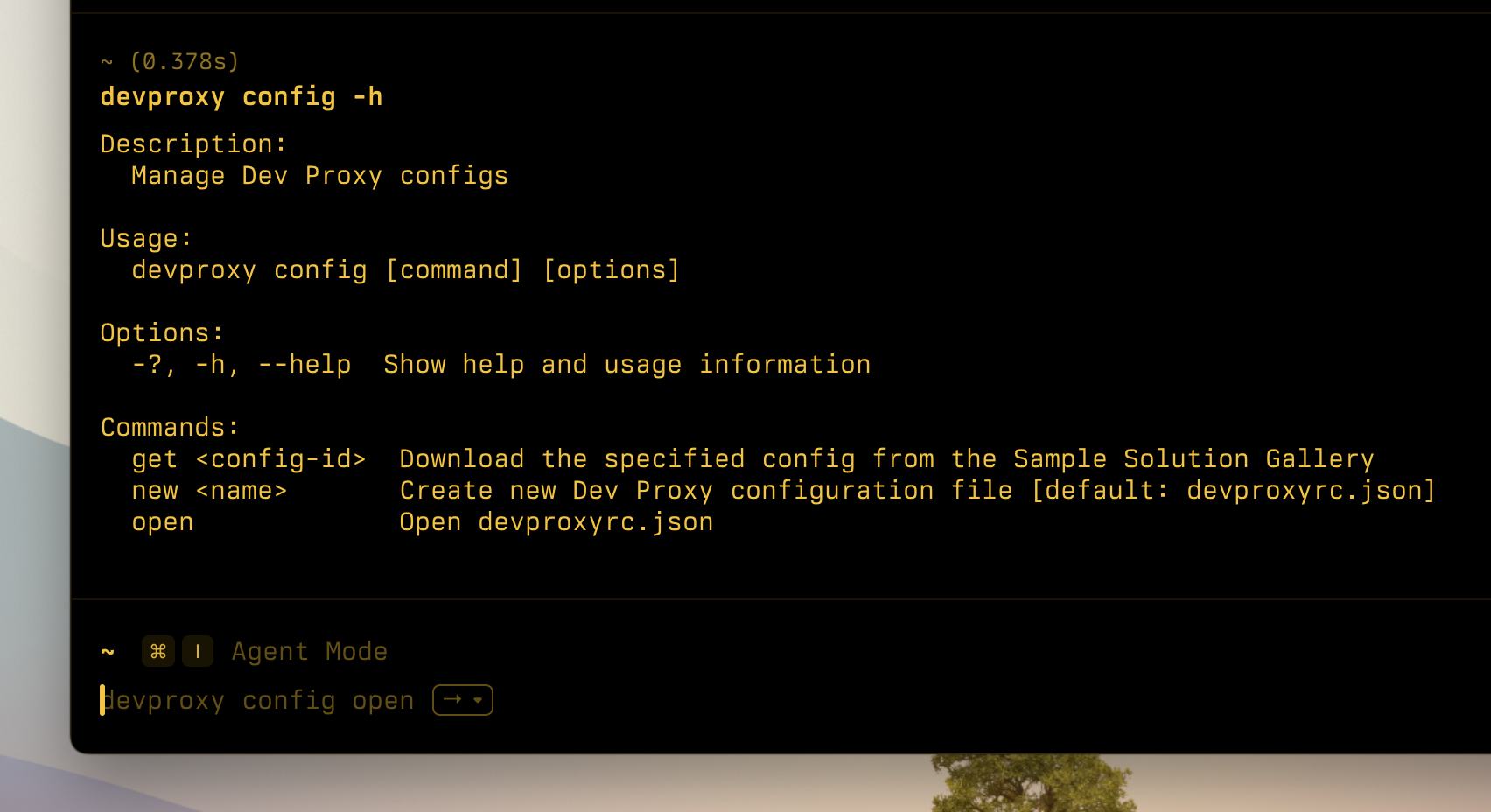 Dev Proxy config options
